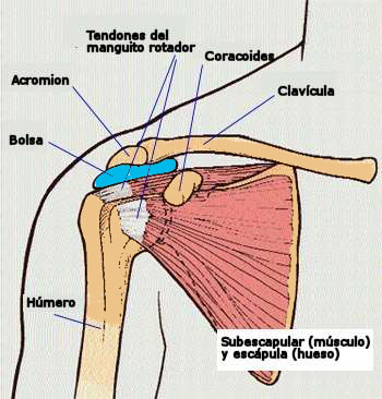 Artrosis - Centro de Salud Pedernera